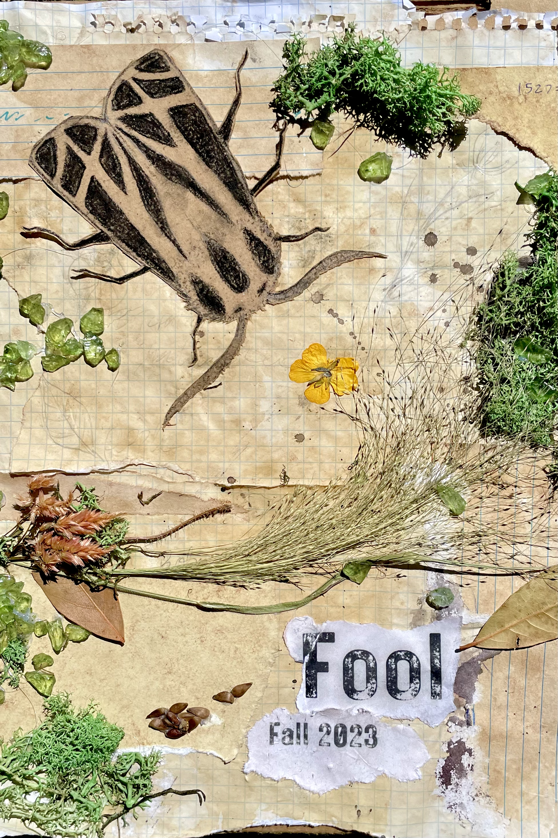 the cover of the fourth edition of the fool